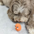Mini nevető tojás kutyáknak - narancssárga