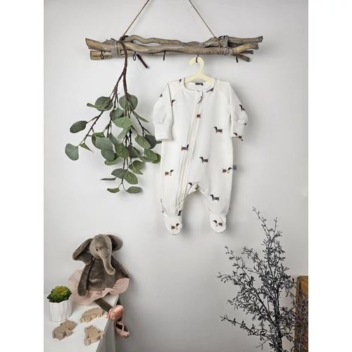 Rugdalózó - tacskó