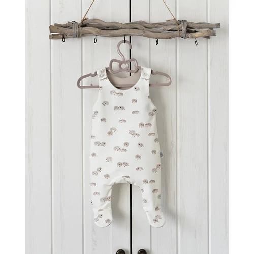 Pántos rugdalózó - sünis