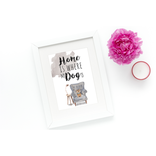 Home is where my dog is - Yorkshire terrier